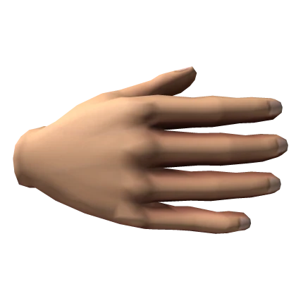 Pair of Realistic Hands