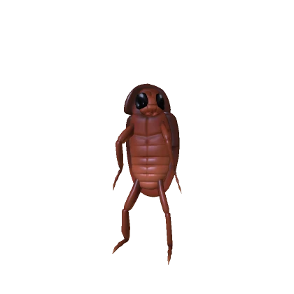 Short Roach