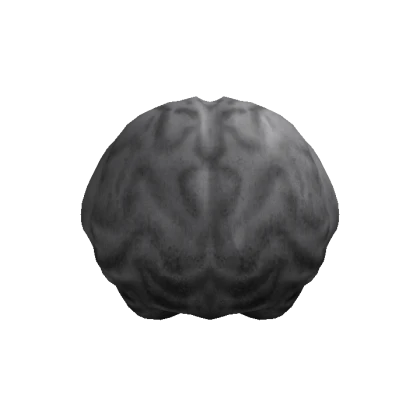 Recolorable Brain Head