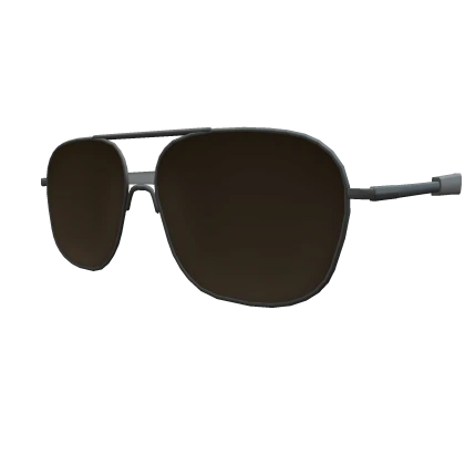 Visionary's Aviators