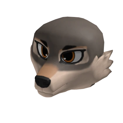 Coyote Head