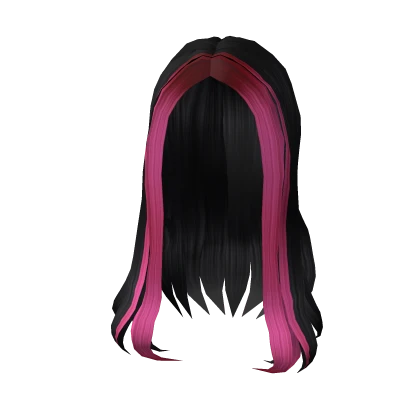 Black & Pink Straight Simplistic Hair