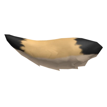 Desert Coyote Tail