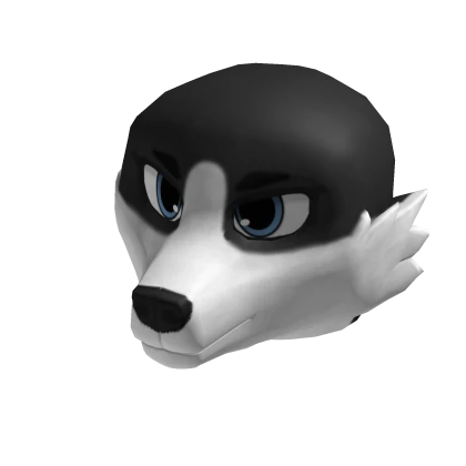 Border Collie Head