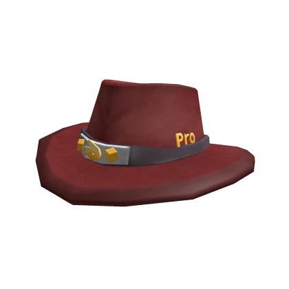 Profine's CG Cowboy Hat