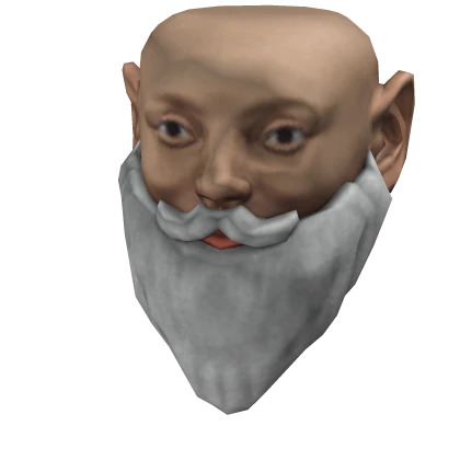 Realistic Santa Head