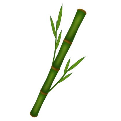 Bamboo Stick