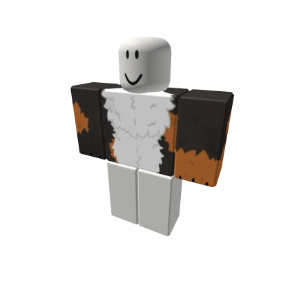 Black Calico Fluffy Cat