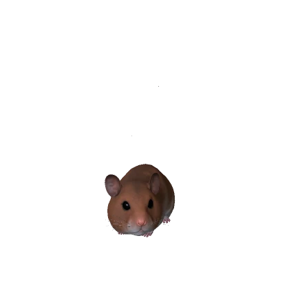 The Hamster
