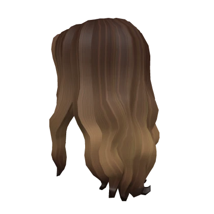 Long Curly Hair (3.0) - Brown & Blond Ombre