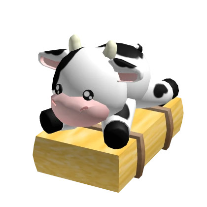 Cute Baby Cow Pet 💕