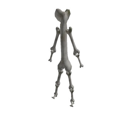 Bone