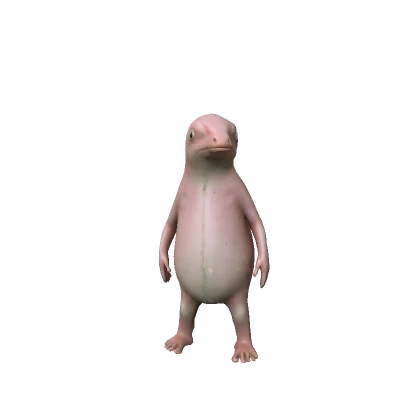 Realistic Pink Dolphin 🩷 Funny Meme Troll Animal