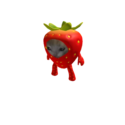 Strawberry Cat