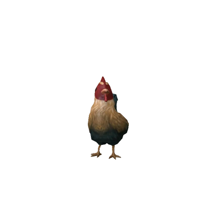 Realistic Rooster