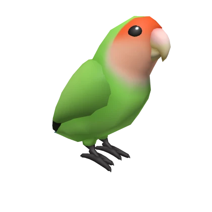 Peach-faced Lovebird