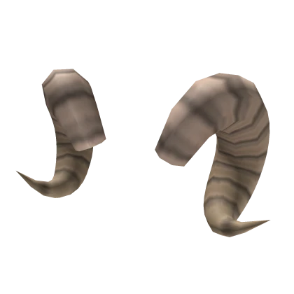 Large Curly Horns