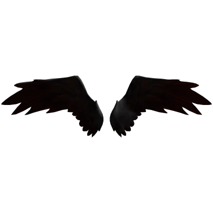 Black Angel Wings