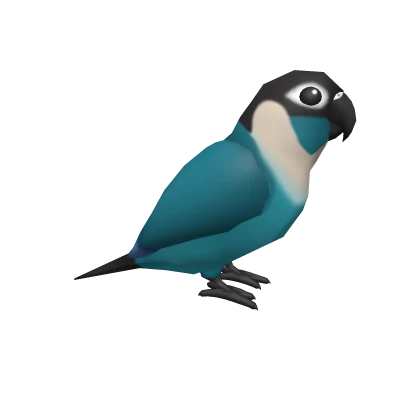 Turquoise-Cheeked Conure