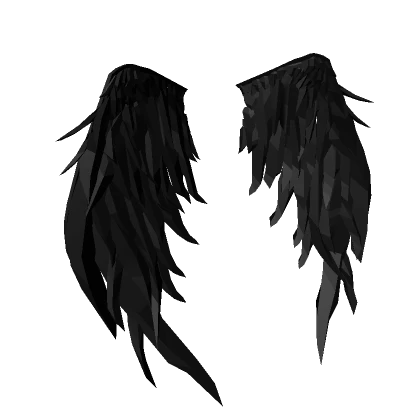 Black Feather Void Wings