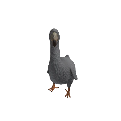 Dodo Bird