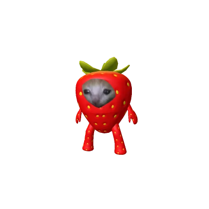 Strawberry Fruit Cat 🍓