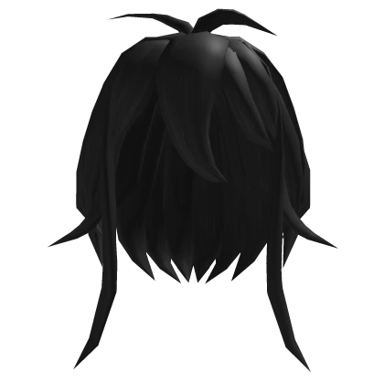 Black Fluffy Protagonist Hair