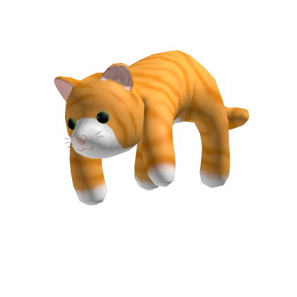 Orange Tabby Cat