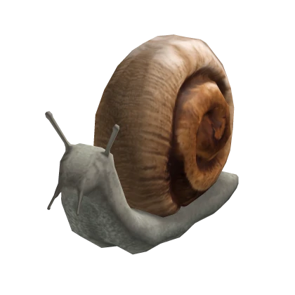 Pet Snail