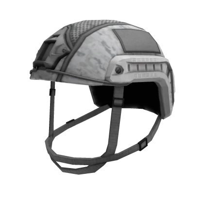 Custom Arctic FAST Helmet