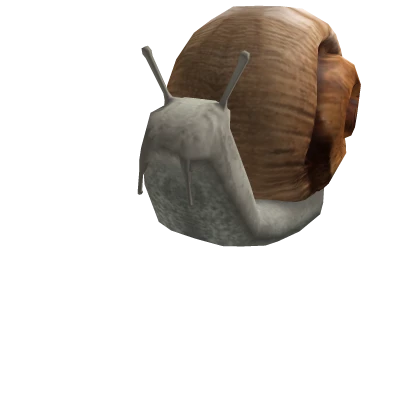 Snail Head