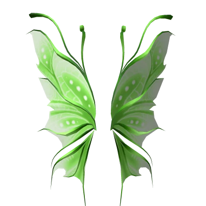 Green Enchanted Fairy Wings