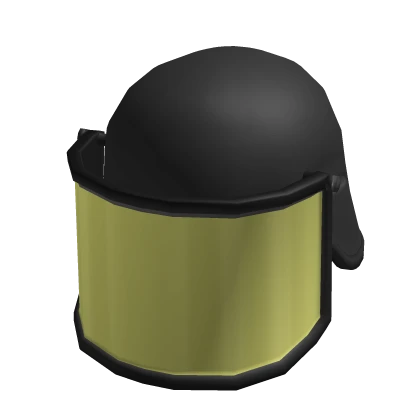 Security Helmet