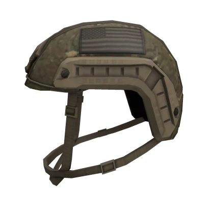 Custom US FAST Helmet