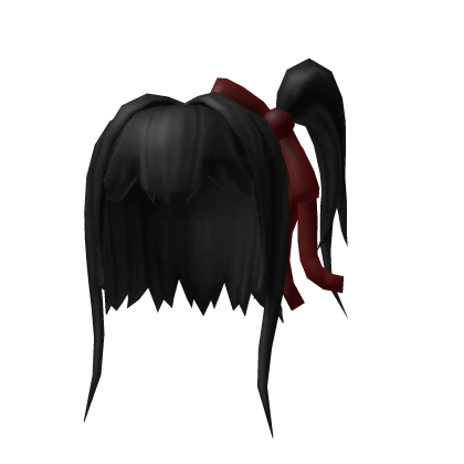 Black Side Ponytail Hair