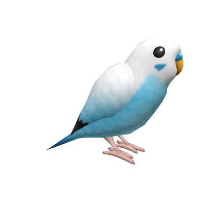 Blue Budgerigar