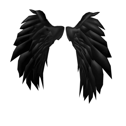 Heavenly Void Wings