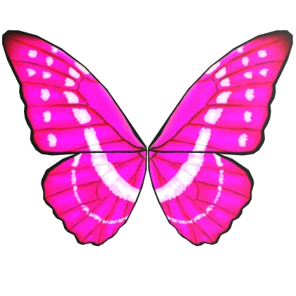 Pink Cypris Butterfly Wings
