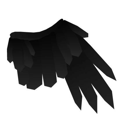 Black Fluffy Wings