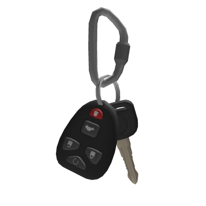 Carabiner Car Keys