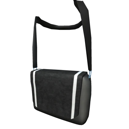 Black & White Trendy Bag