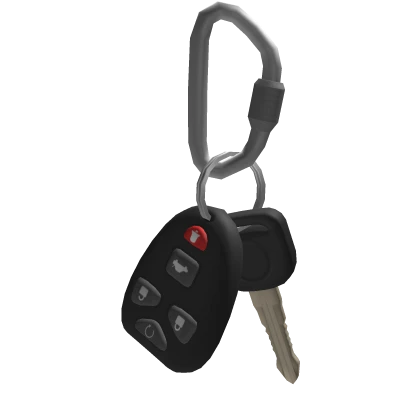 [3.0 version] Carabiner Car Keys