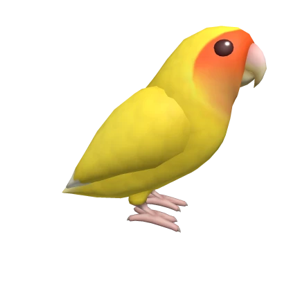 Lutino Peach-Faced Lovebird