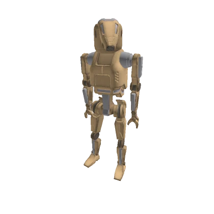 Type-1 Combat Bot Body