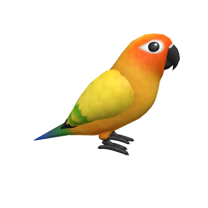 Sun Conure