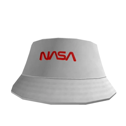 NASA Worm Logotype hat 