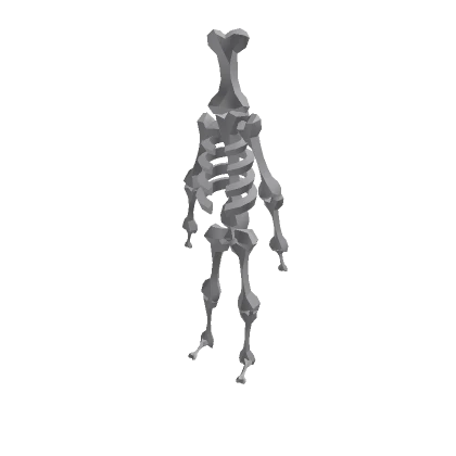 Bone Skeleton