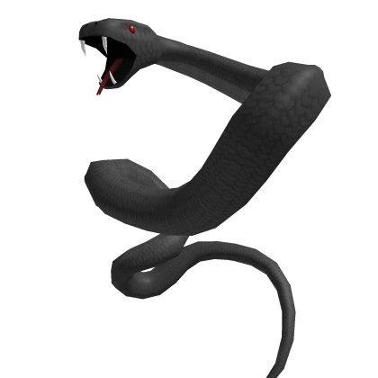 Black Giant Back Snake