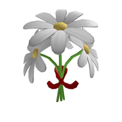 Daisy bouquet