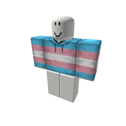 🌈Trans Hoodie LGBT Pride🌈